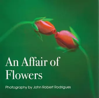 An Affair of Flowers cover