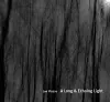 A Long and Echoing Light cover