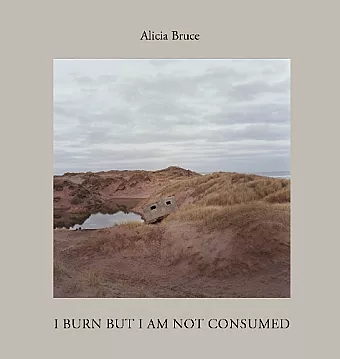 I Burn But Am Not Consumed cover