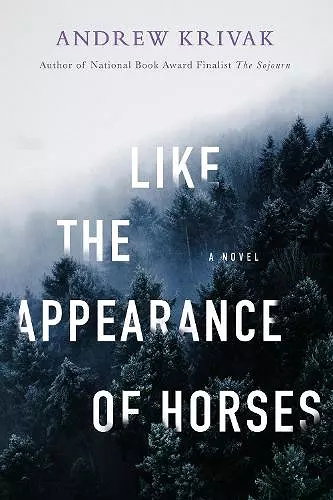 Like the Appearance of Horses cover