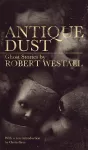 Antique Dust cover