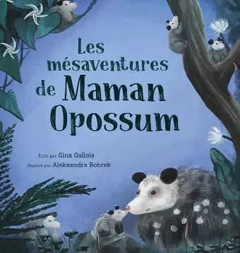 Les mésaventures de Maman Opossum cover