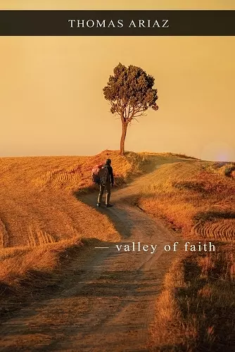 Valley of Faith cover