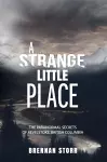 A Strange Little Place cover