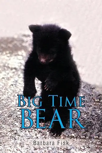 Big Time Bear cover