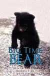Big Time Bear cover