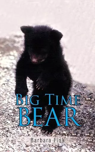 Big Time Bear cover