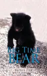 Big Time Bear cover