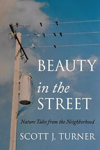 Beauty in the Street cover