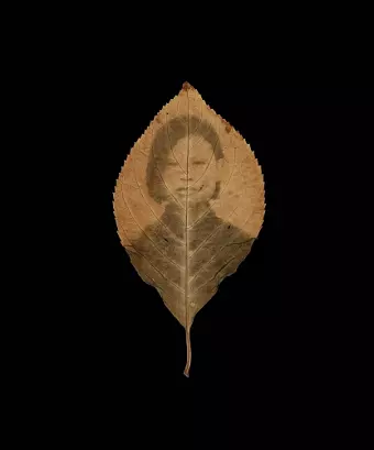 Binh Danh: The Enigma of Belonging cover