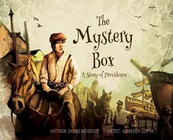 The Mystery Box cover