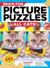 Brain Fun Picture Puzzles: All Cats cover