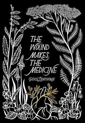 The Wound Makes the Medicine cover