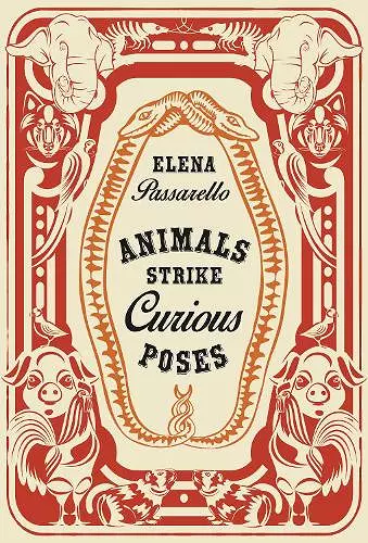 Animals Strike Curious Poses cover