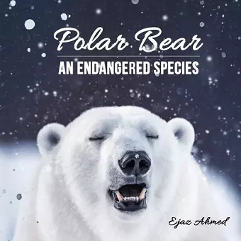 Polar Bear cover