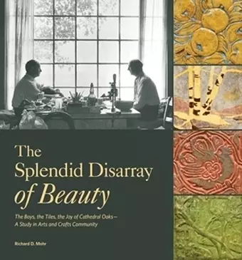 The Splendid Disarray of Beauty cover