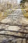 Our Road to Emmaus cover