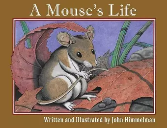 A Mouse's Life cover