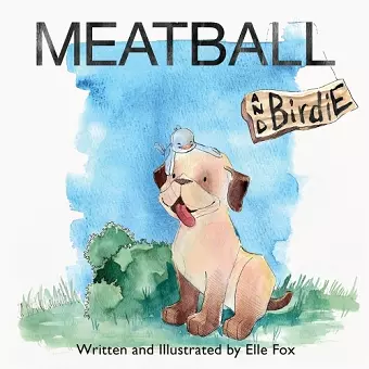 Meatball and Birdie cover