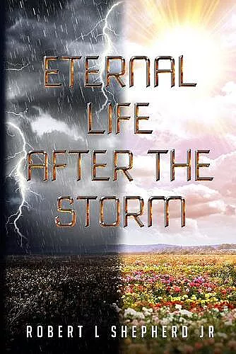 Eternal Life After The Storm cover