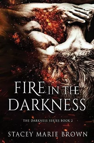 Fire In The Darkness cover