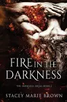 Fire In The Darkness cover