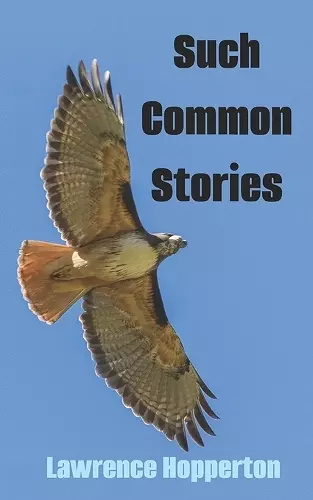 Such Common Stories cover