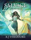 Salvage cover