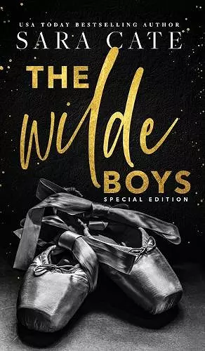 The Wilde Boys cover