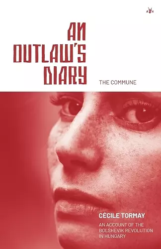 An Outlaw's Diary cover