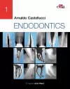 ENDODONTICS - 2 Volume Set cover