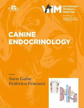 Canine Endocrinology cover