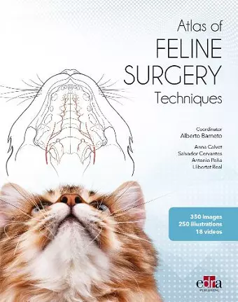 Feline surgery cover