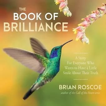 The Book of Brilliance cover