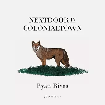 Nextdoor in Colonialtown cover