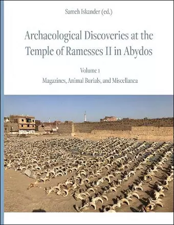 Archaeological Discoveries at the Temple of Ramesses II in Abydos: Vol. 1 cover