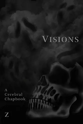 Visions cover