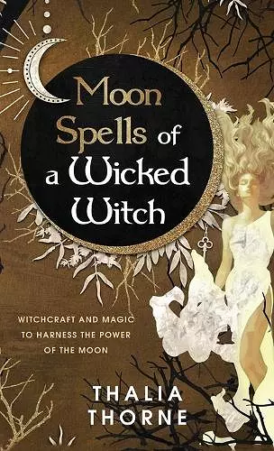 Moon Spells of a Wicked Witch cover