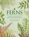 Ferns cover