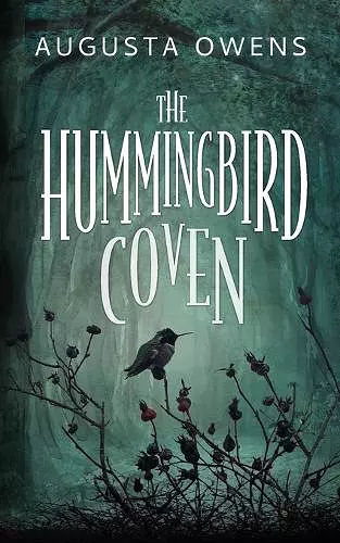 The Hummingbird Coven cover