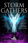 The Storm Gathers cover