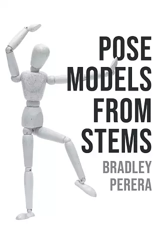 Pose Models From Stems cover