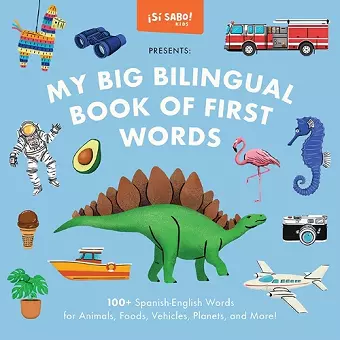 My Big Bilingual Book of First Words cover