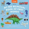 My Big Bilingual Book of First Words cover