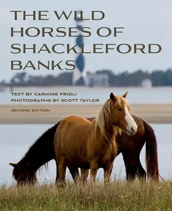 Wild Horses of Shackleford Banks cover