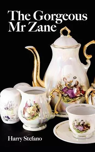 The Gorgeous Mr Zane cover