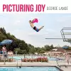 Picturing Joy cover
