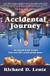 Accidental Journey cover