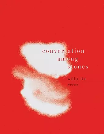 Conversation Among Stones cover