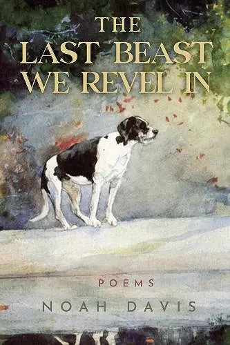 The Last Beast We Revel In cover